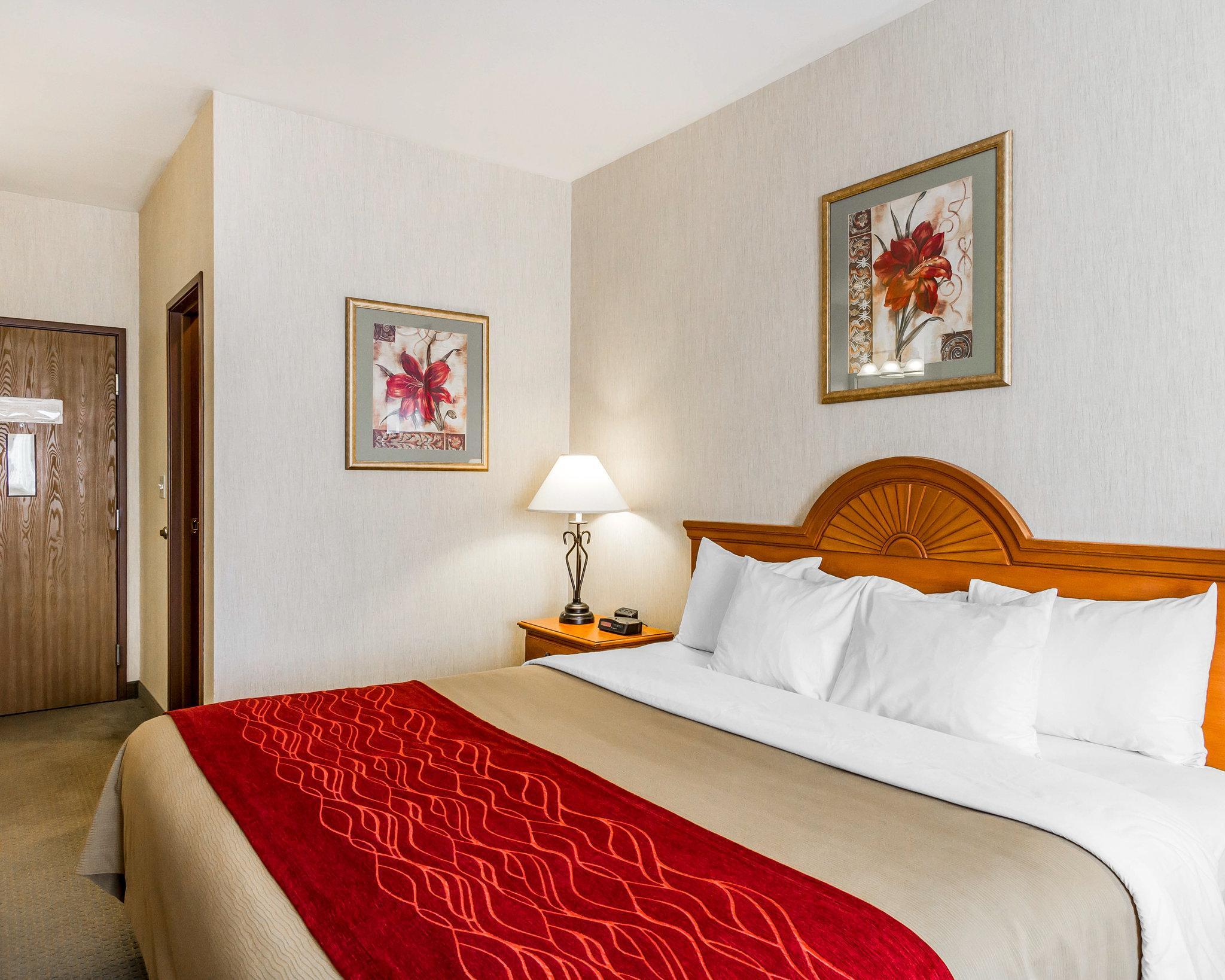 Comfort Inn Ellsworth - Bar Harbor Екстериор снимка