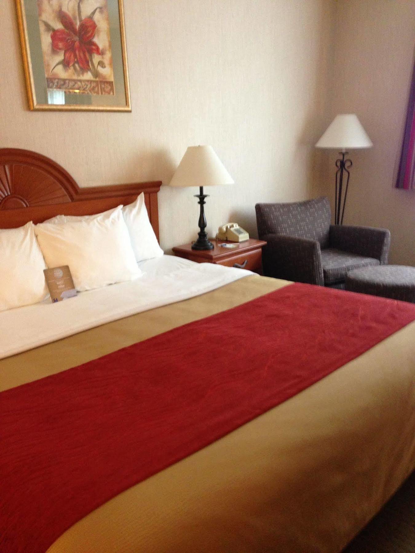 Comfort Inn Ellsworth - Bar Harbor Екстериор снимка
