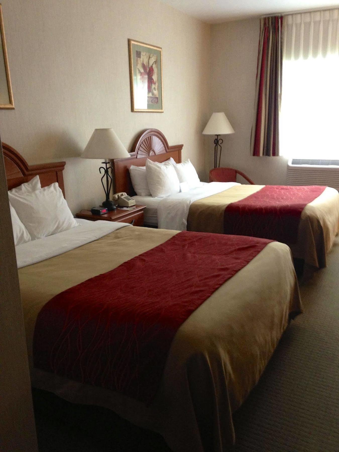 Comfort Inn Ellsworth - Bar Harbor Екстериор снимка